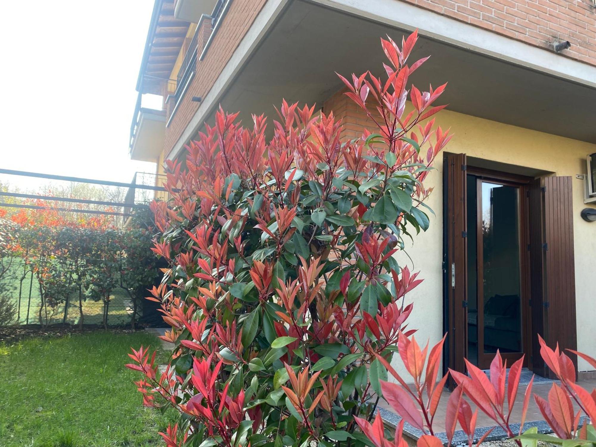 Camille Garden Home - Free Park Όπως Εξωτερικό φωτογραφία